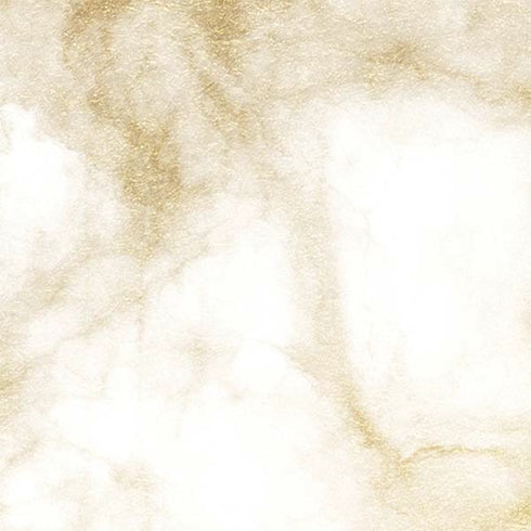 Gold and White Marble Nintendo 2DS XL (2017) Skin